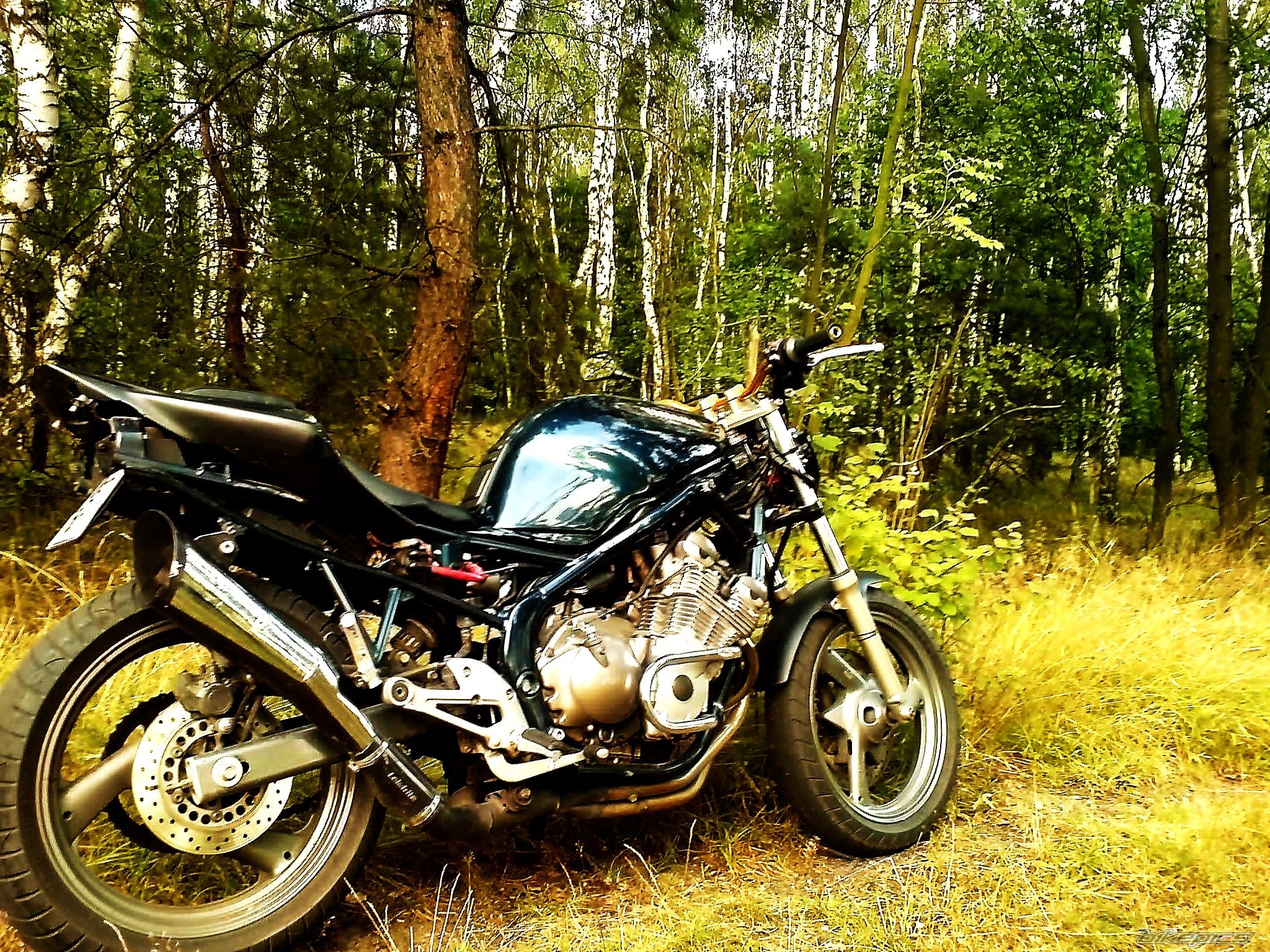Photo 1413880