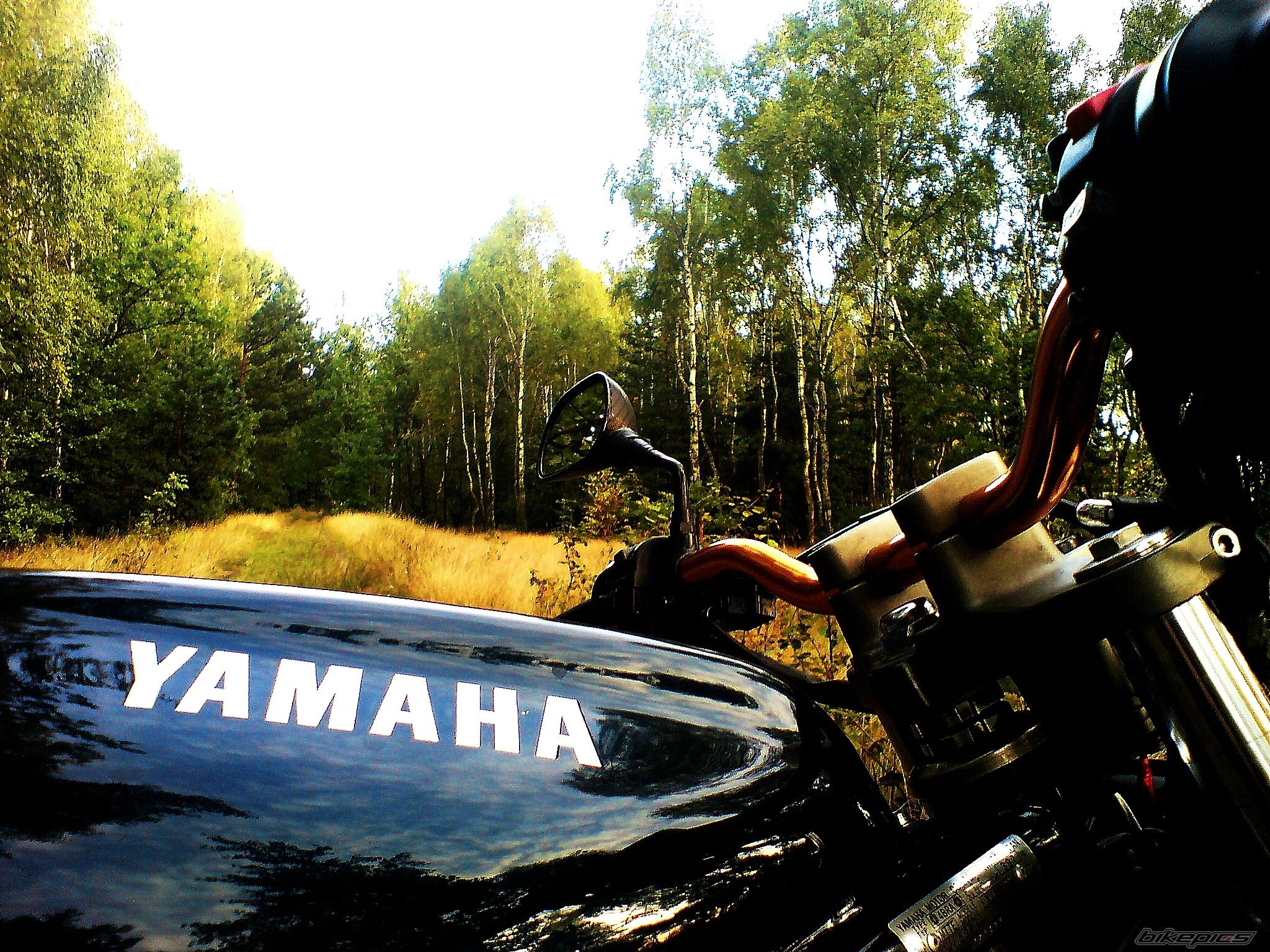 Photo 1413890