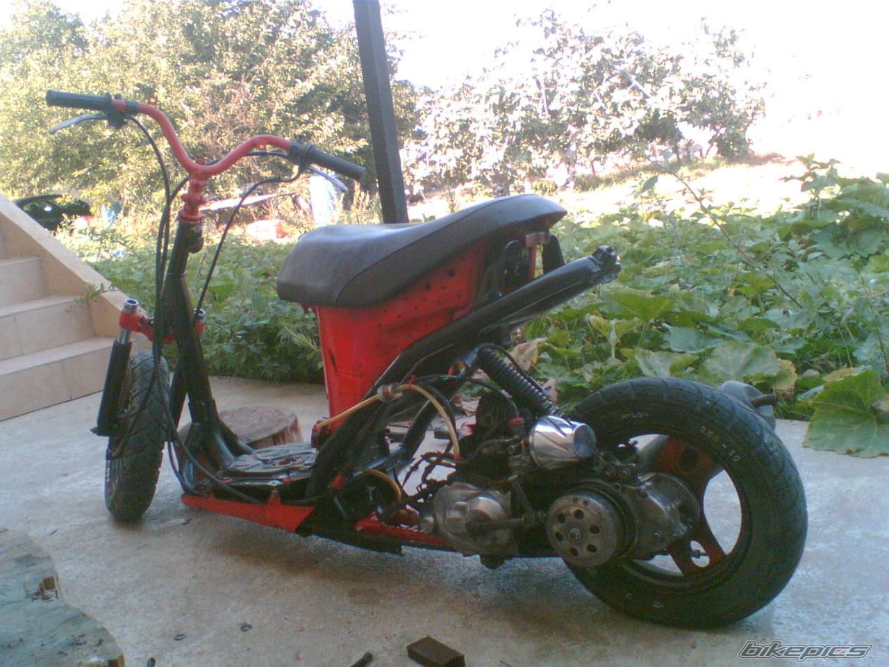 Photo 1413919