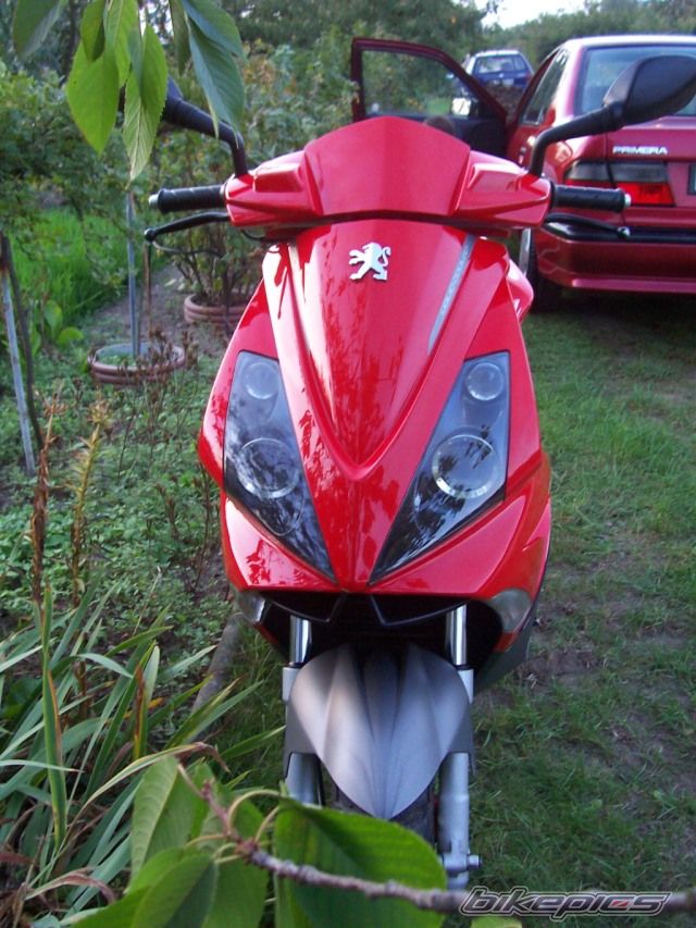 Photo 1413925