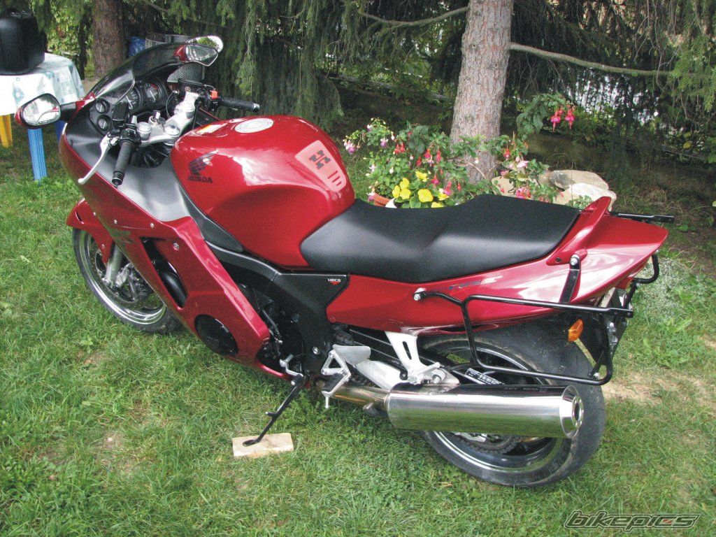 Photo 1414010