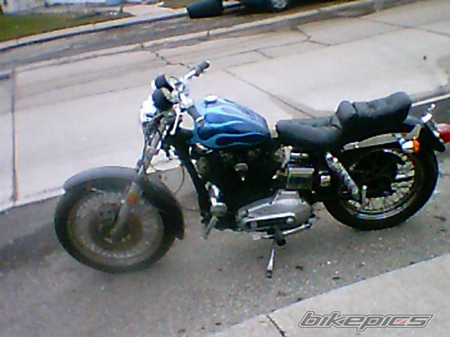 Photo 141405