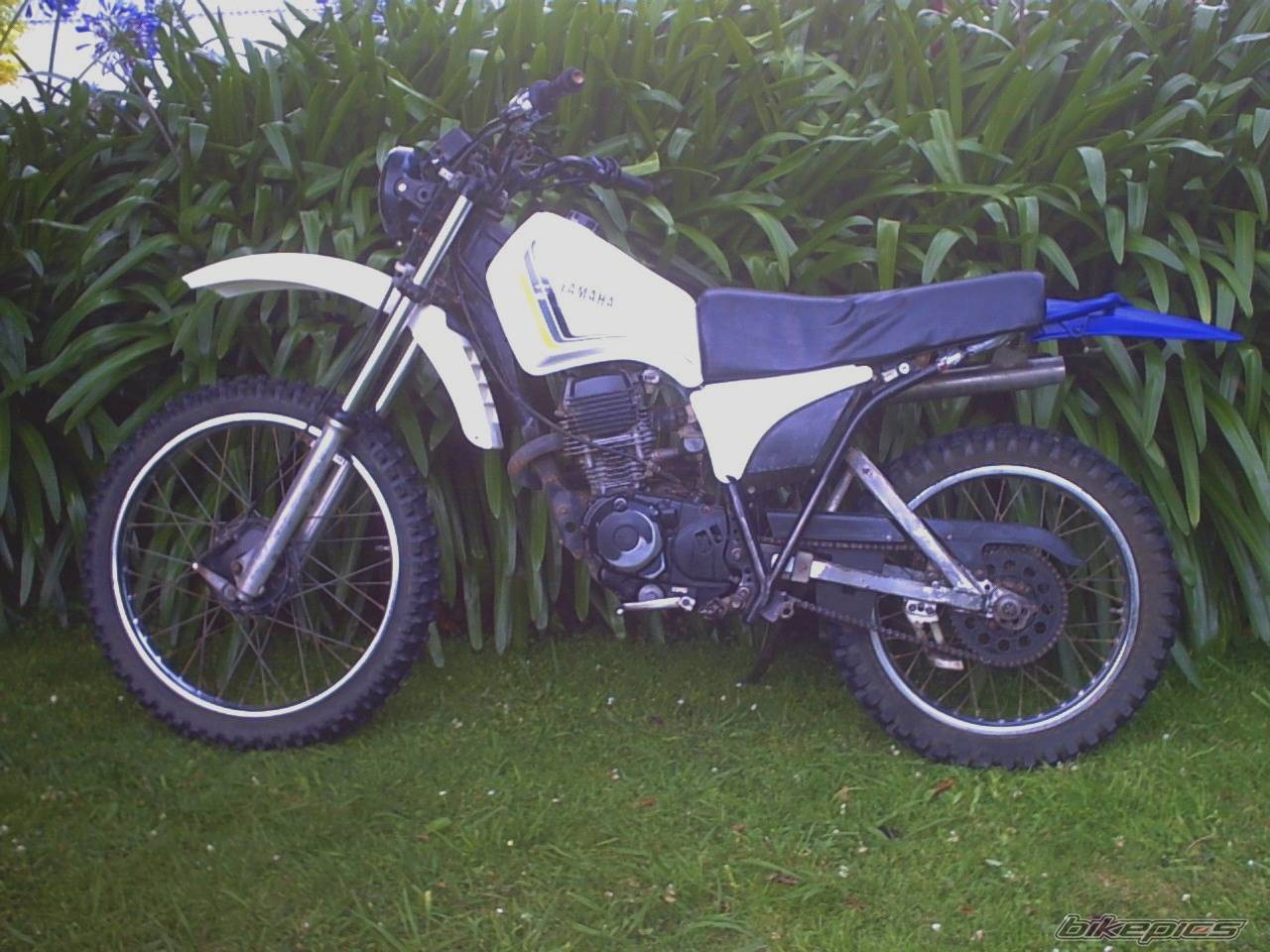 Bike Photo 141407
