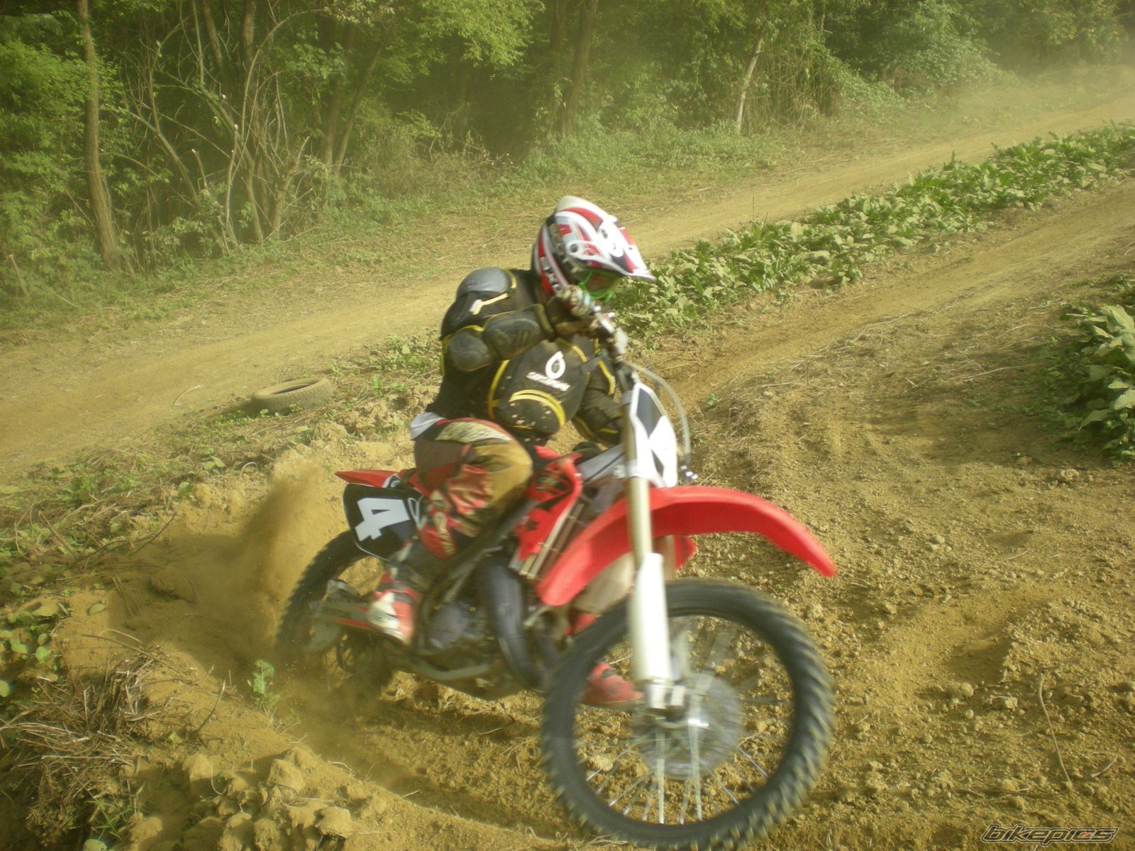 Photo 1414108