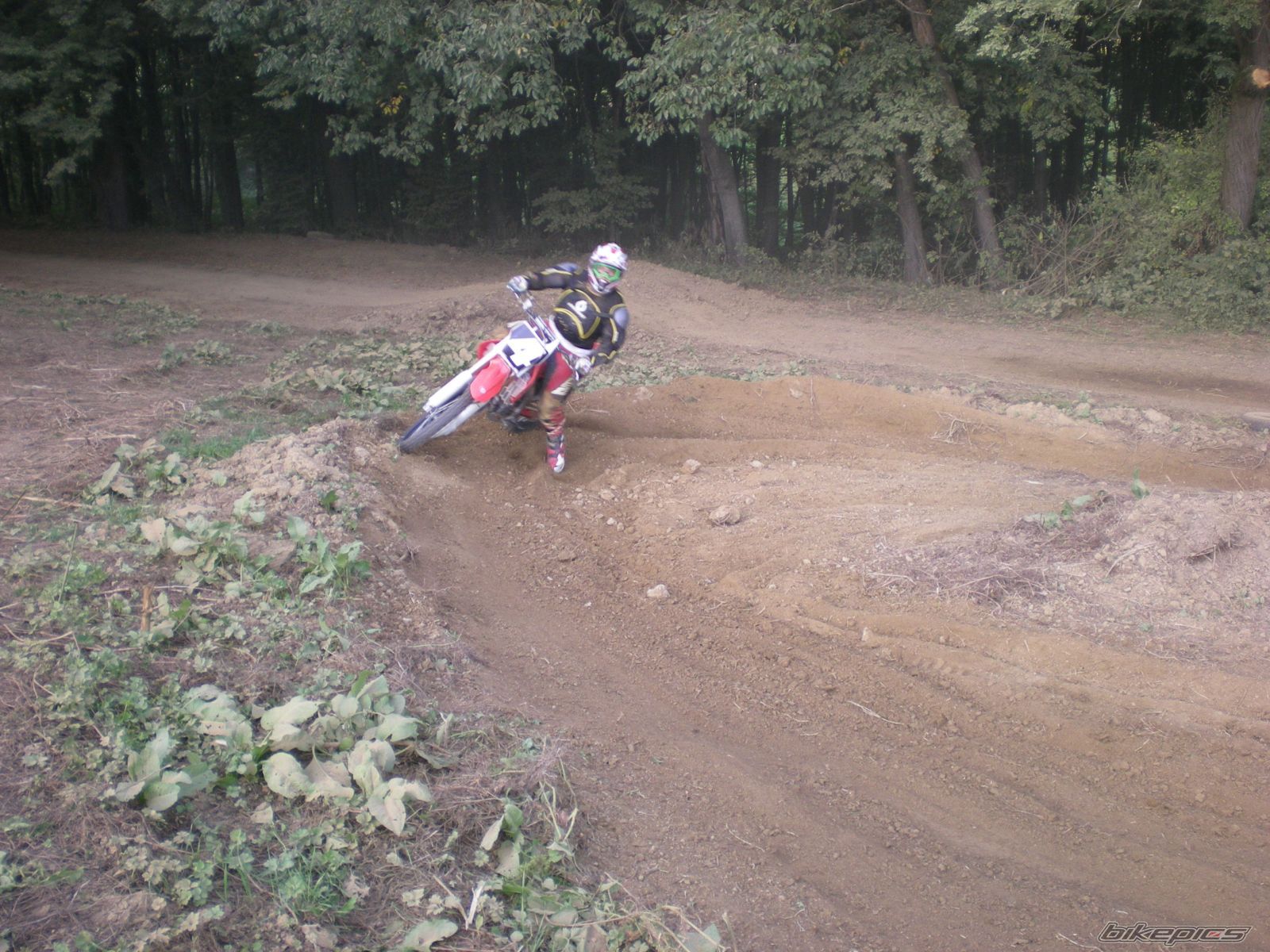 Photo 1414110