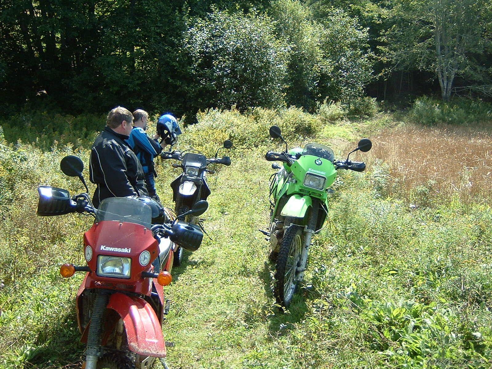Photo 1414191
