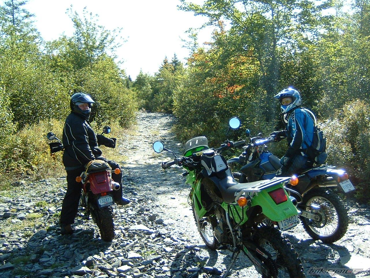 Photo 1414192