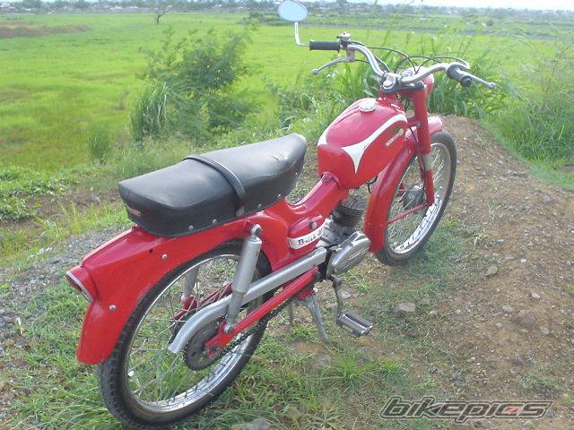 Photo 141420