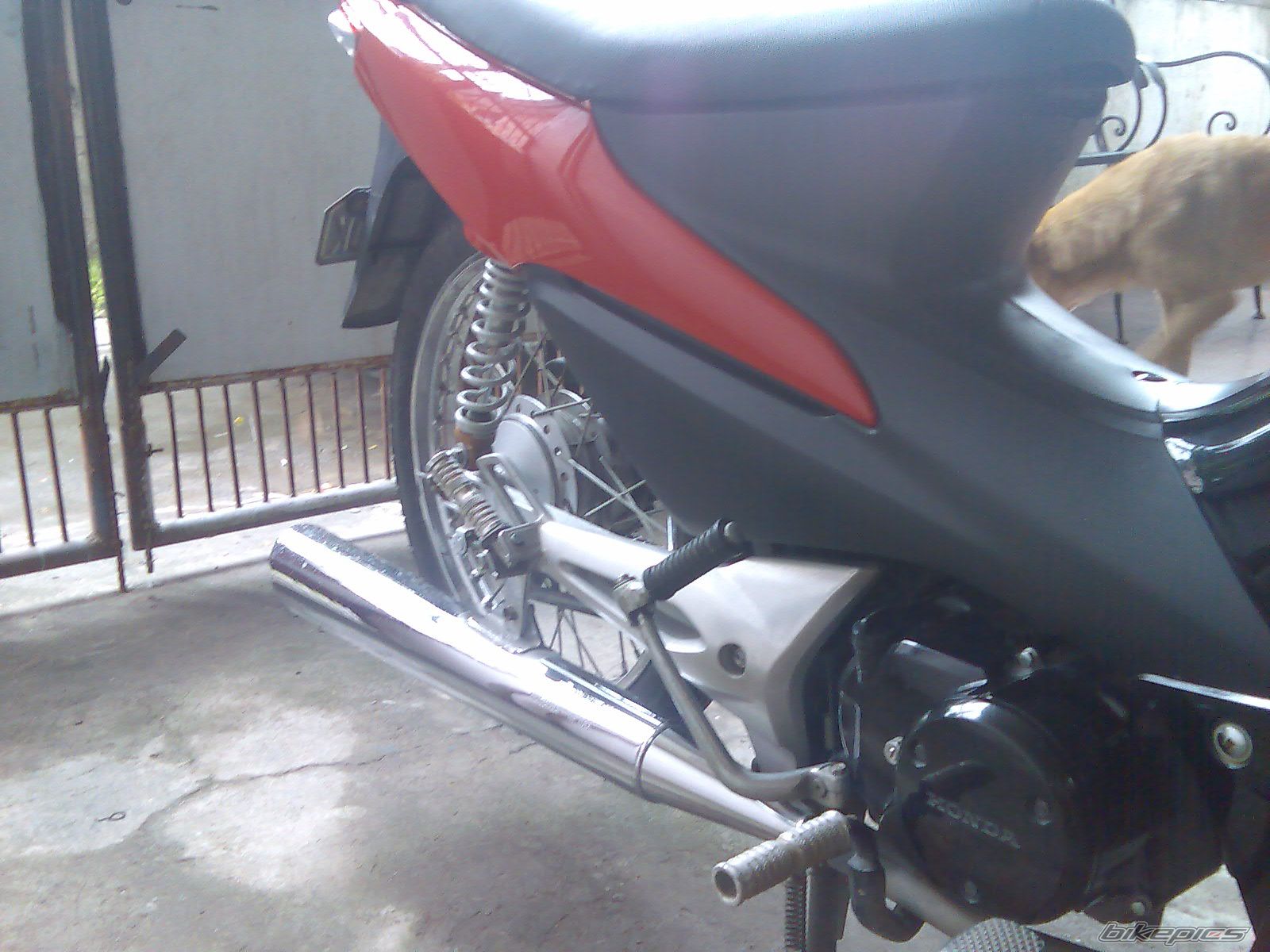 Photo 1414219