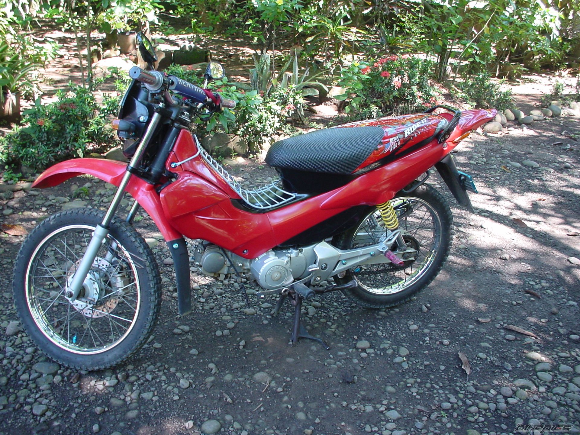 Photo 1414335