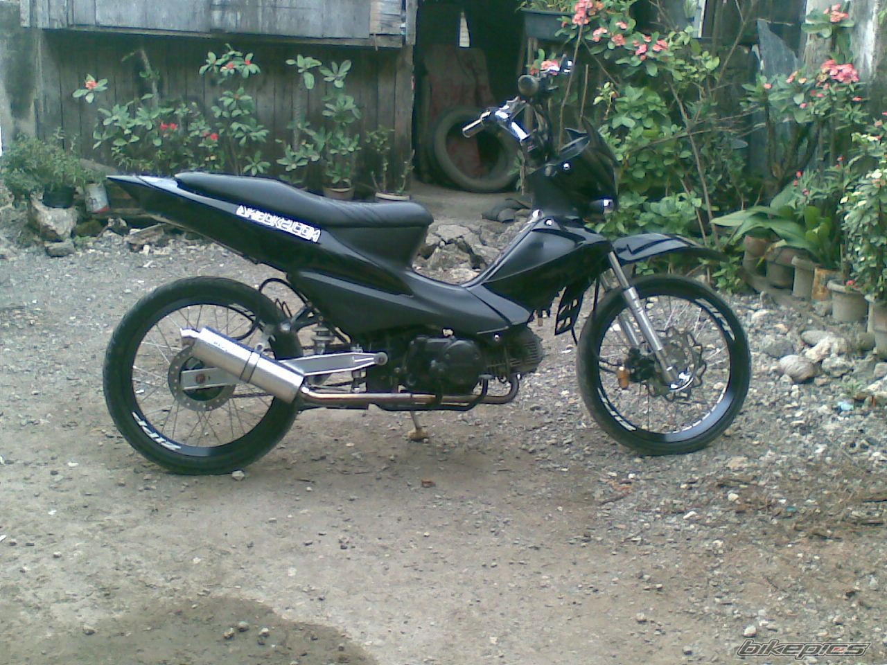 Photo 1414342