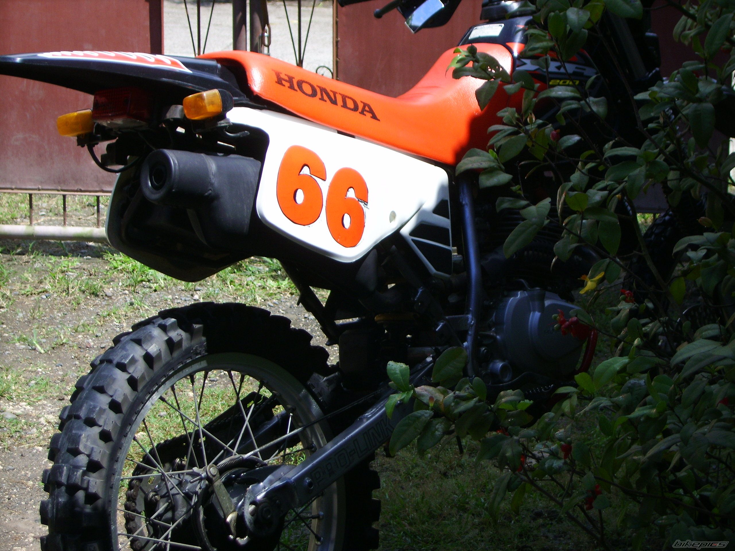 Photo 1414370