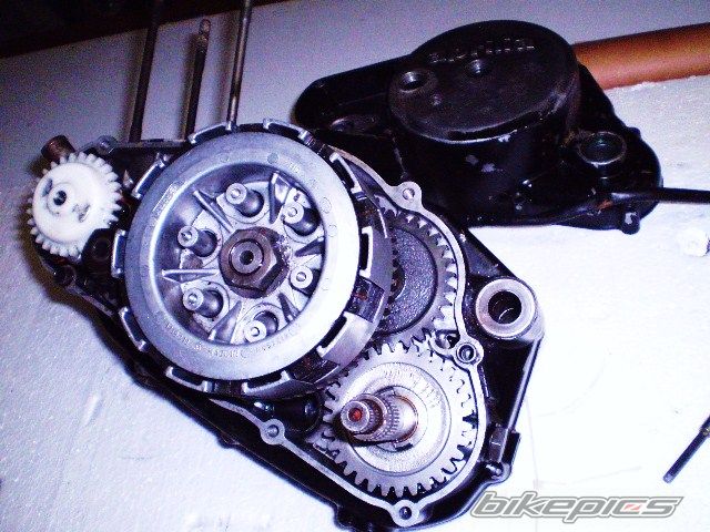 Photo 1414433