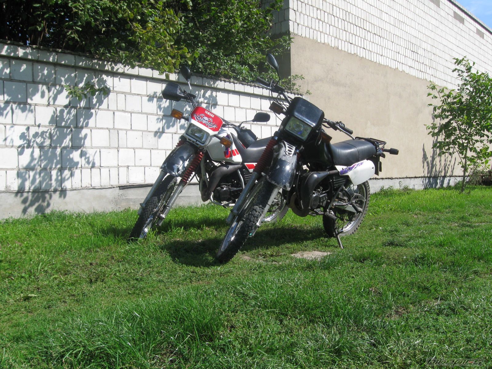 Bike Photo 1414440