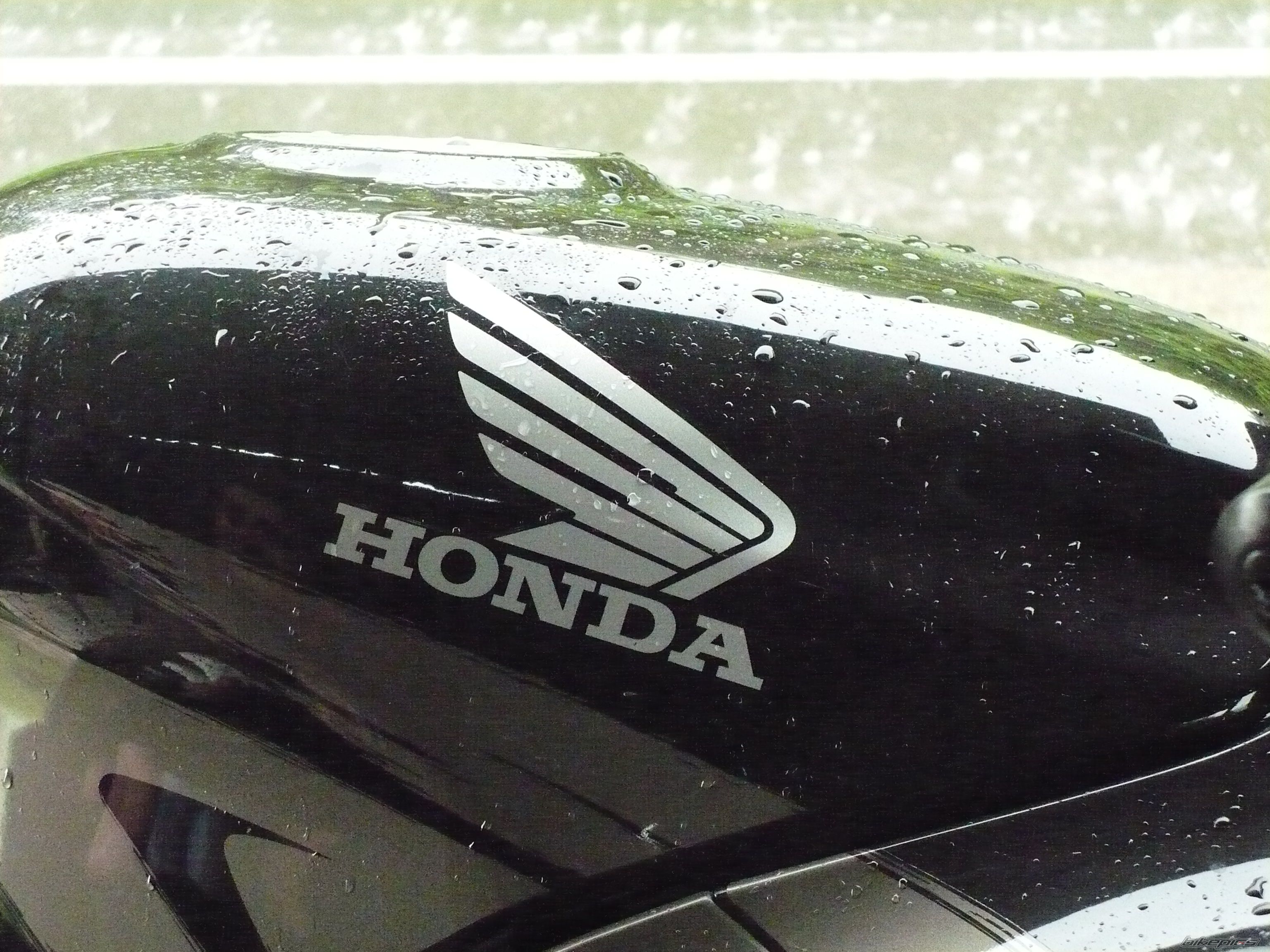 Photo 1414502