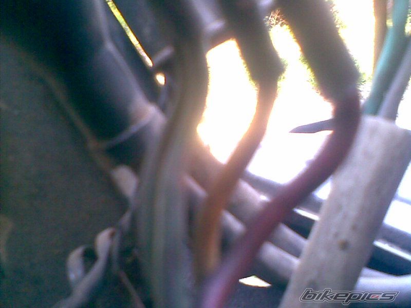 Bike Photo 1414669