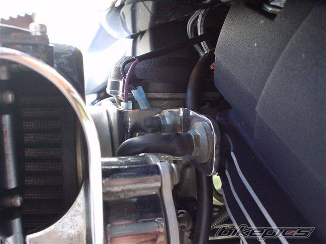 Photo 141483