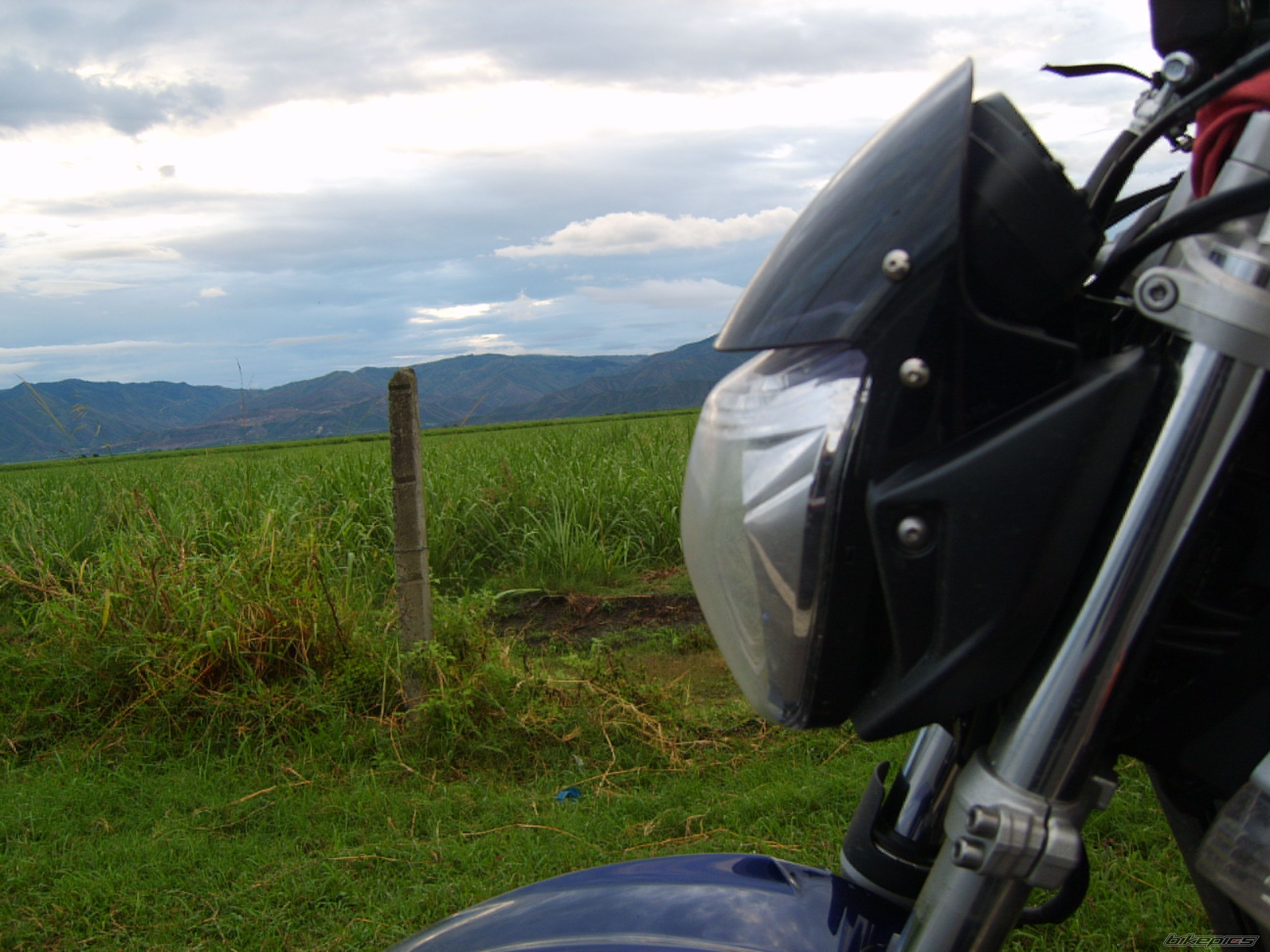 Photo 1414862