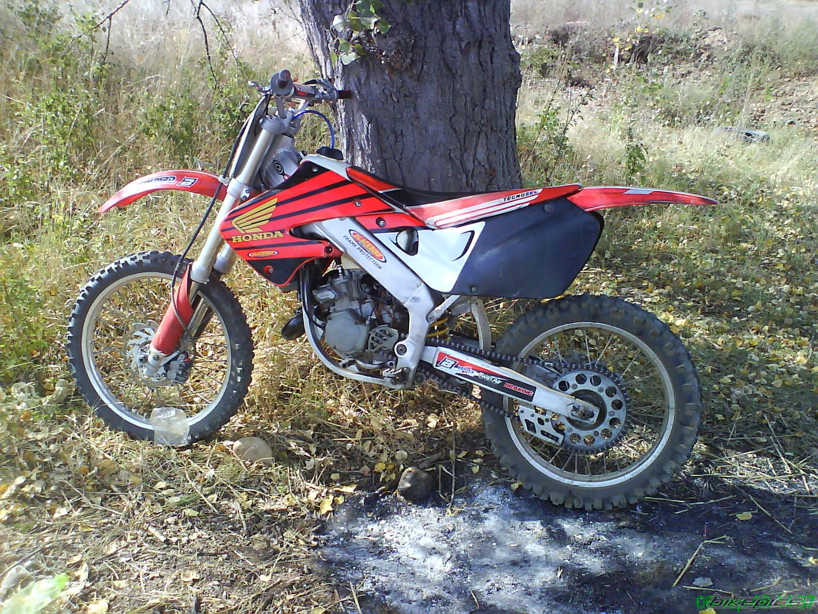 Photo 1414880