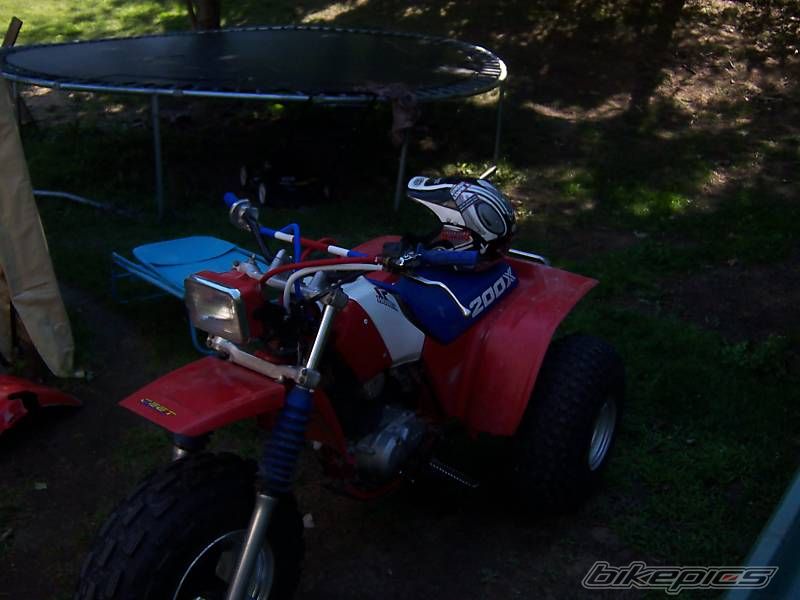 Photo 1415038