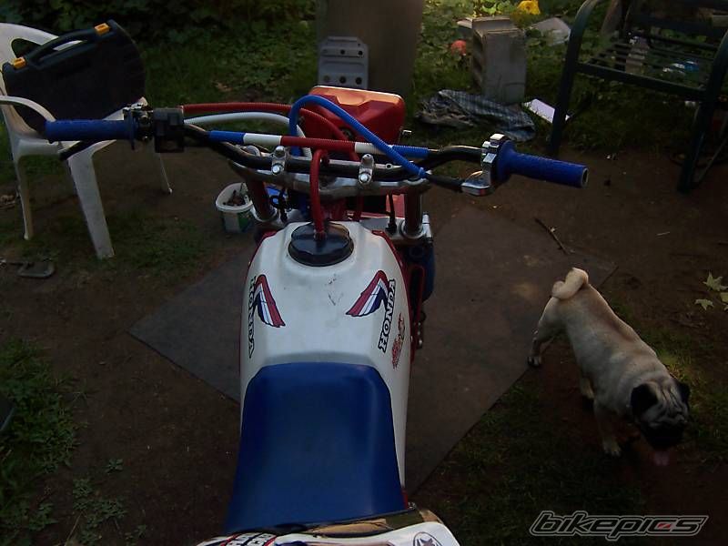 Photo 1415039