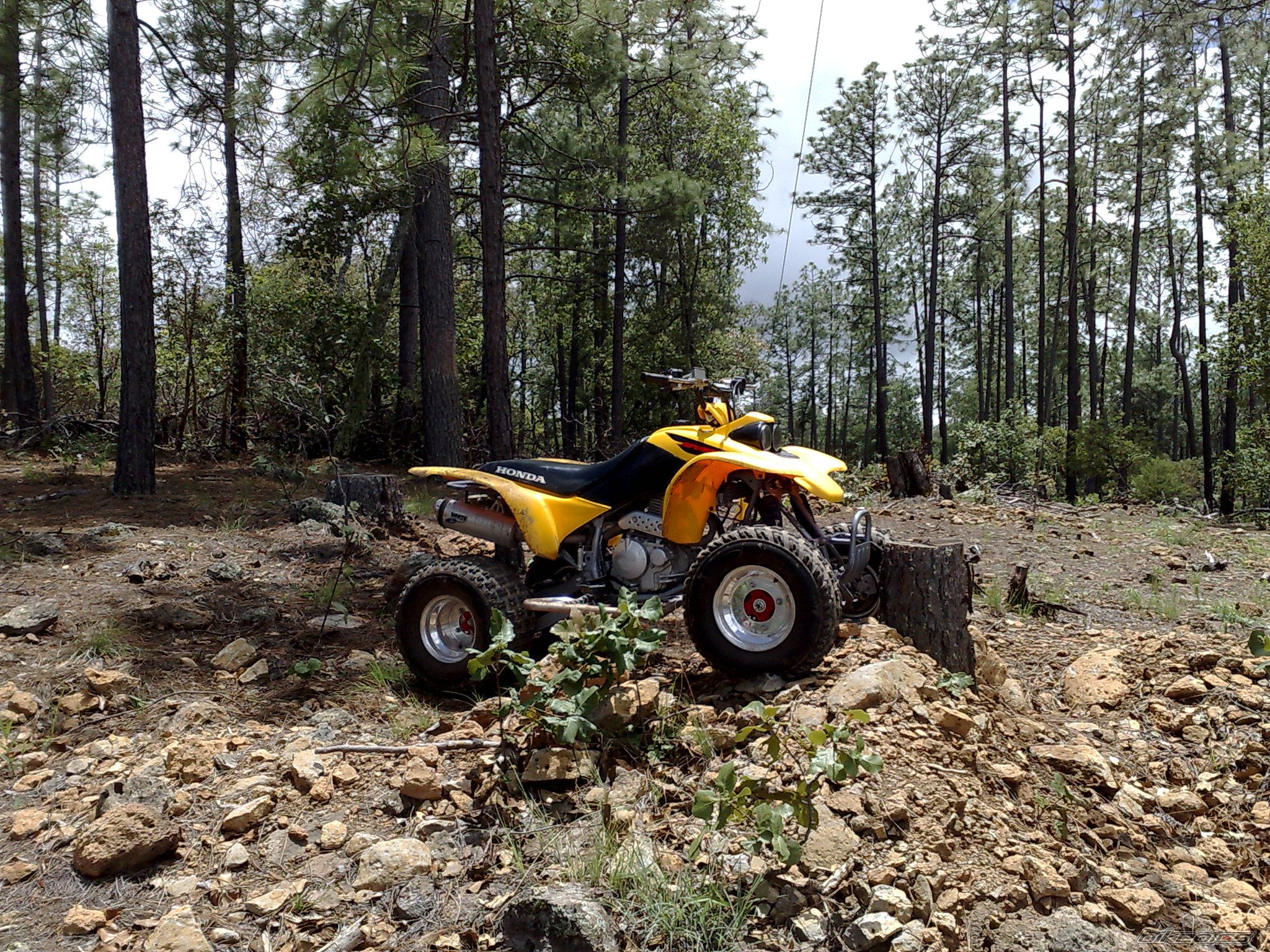 Photo 1415052