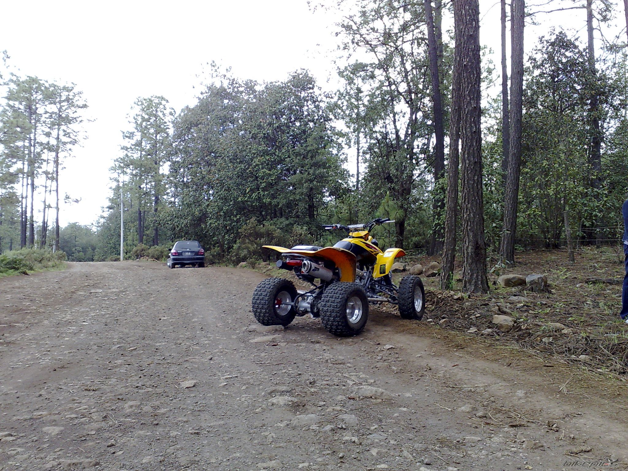 Photo 1415054