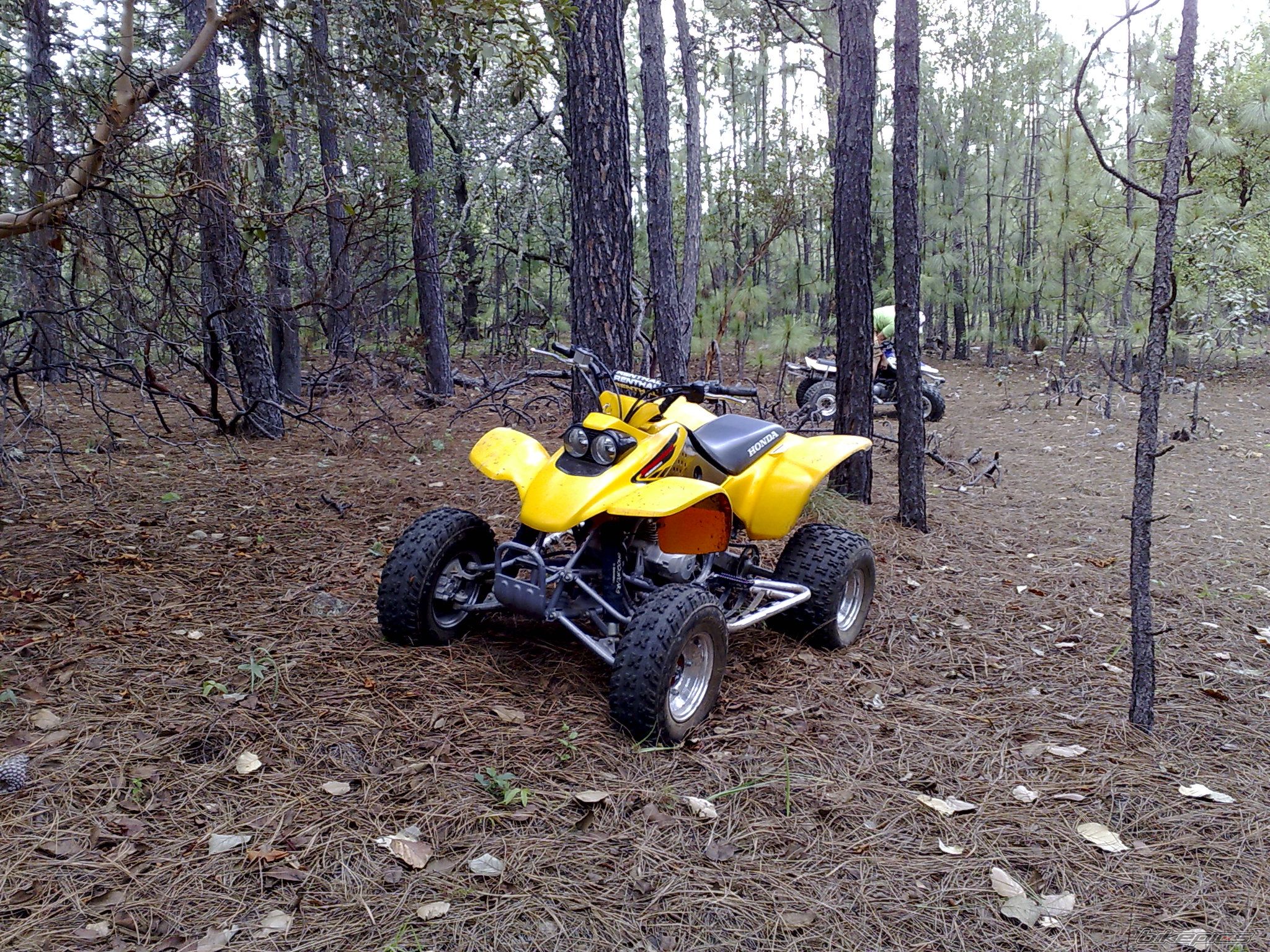Photo 1415057