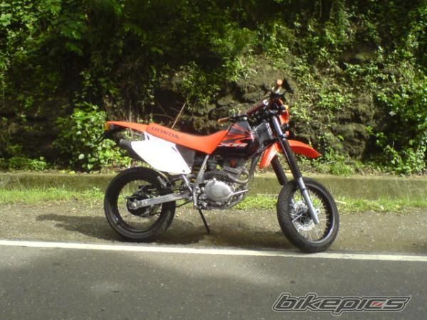 Photo 1415153