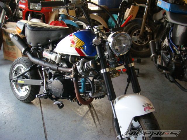 Photo 1415212