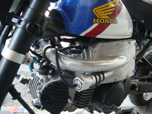 Photo 1415217