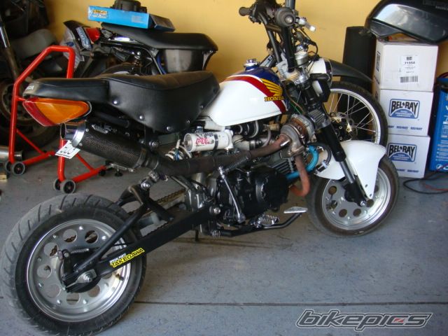 Photo 1415219