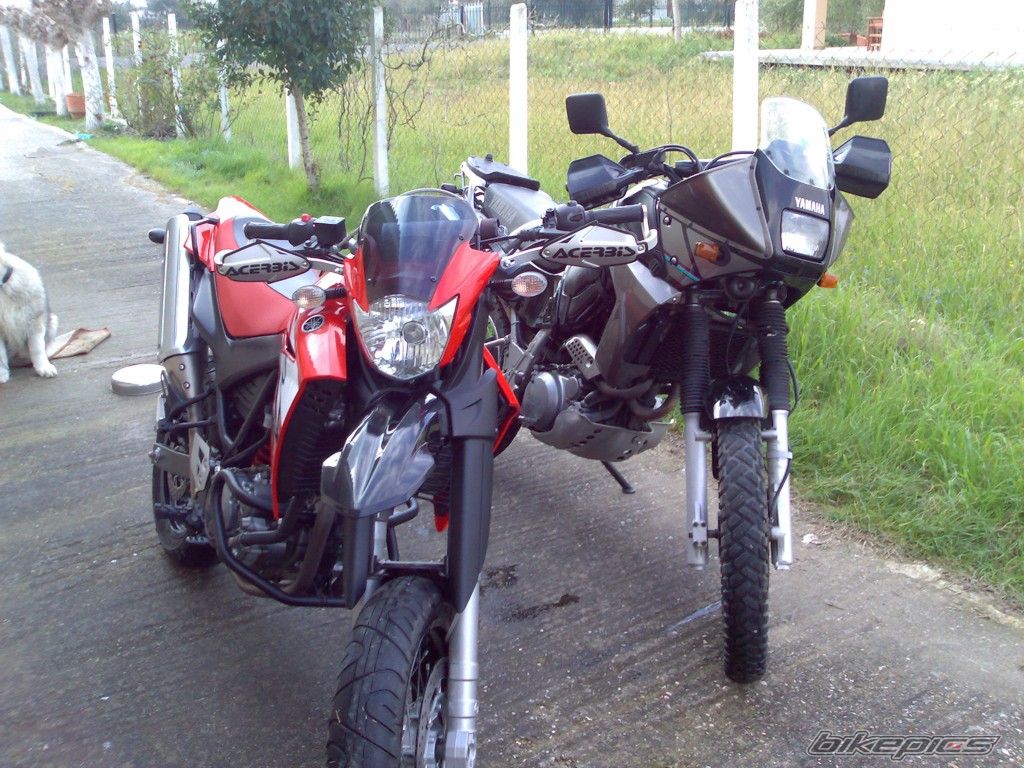 Photo 1415474