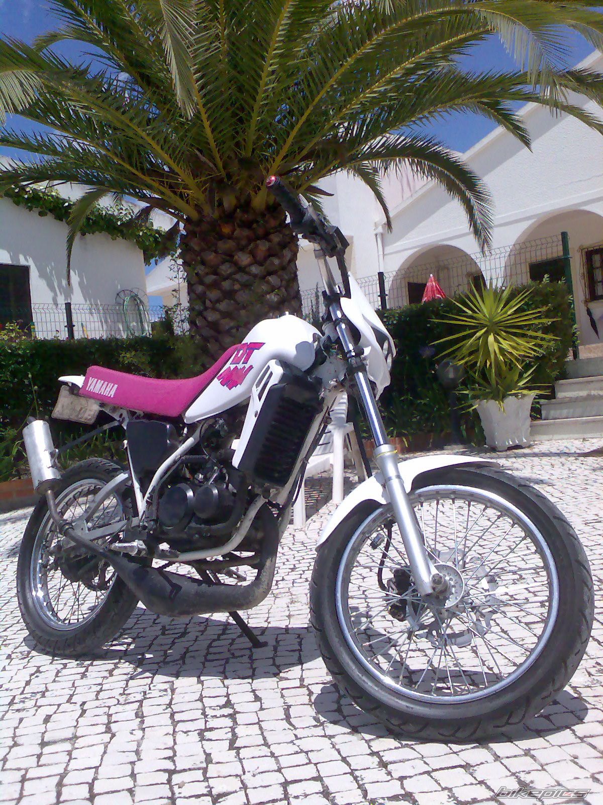 Photo 1415529
