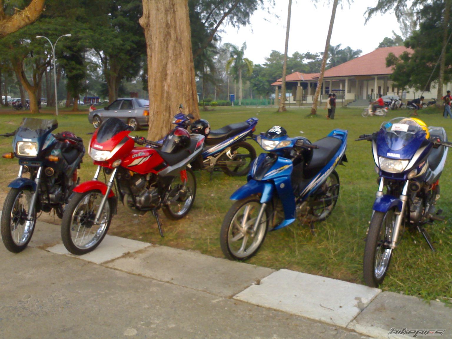 Photo 1415682