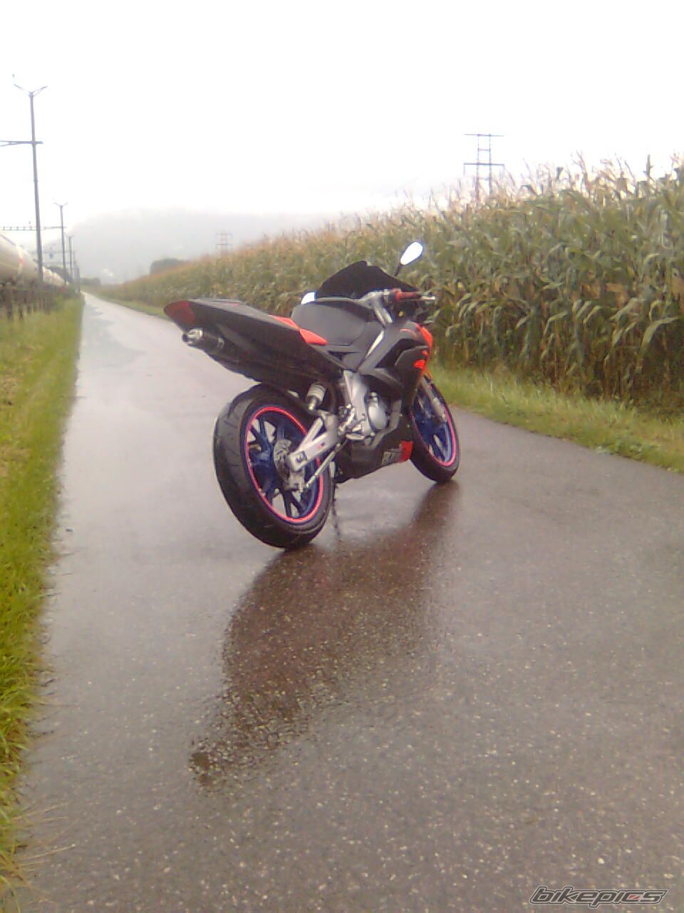 Photo 1415704