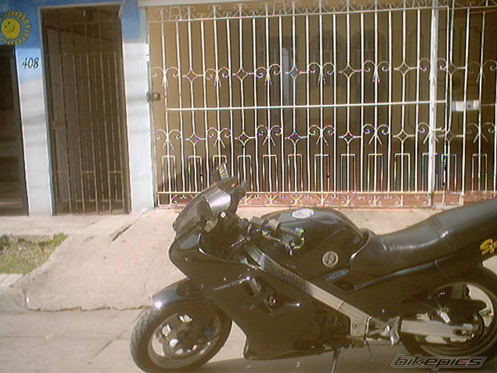 Photo 141581