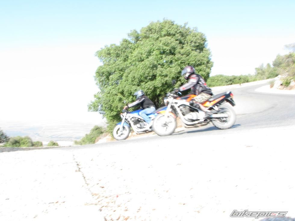 Photo 1415913