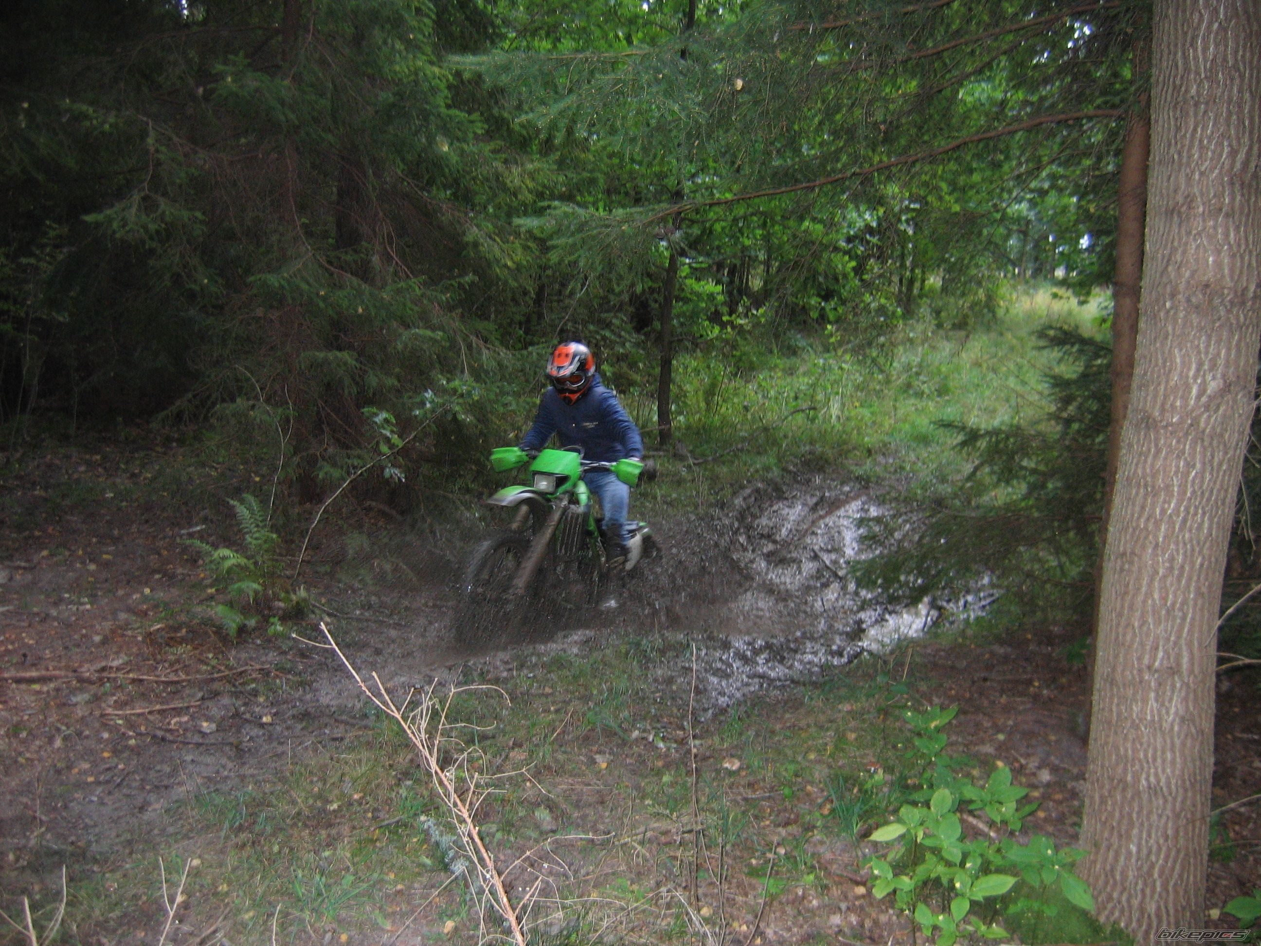 Photo 1415919