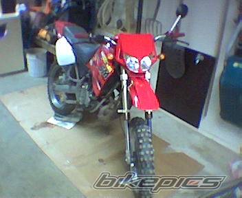 Photo 141596