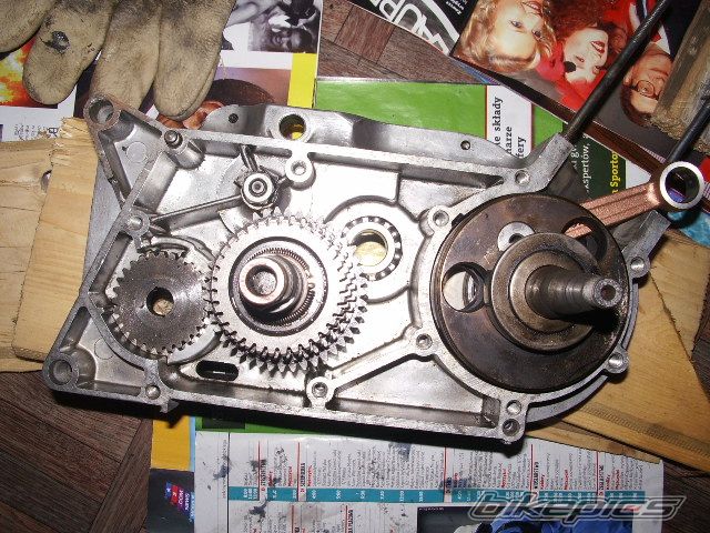 Photo 1415994