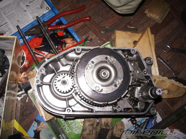 Photo 1415999