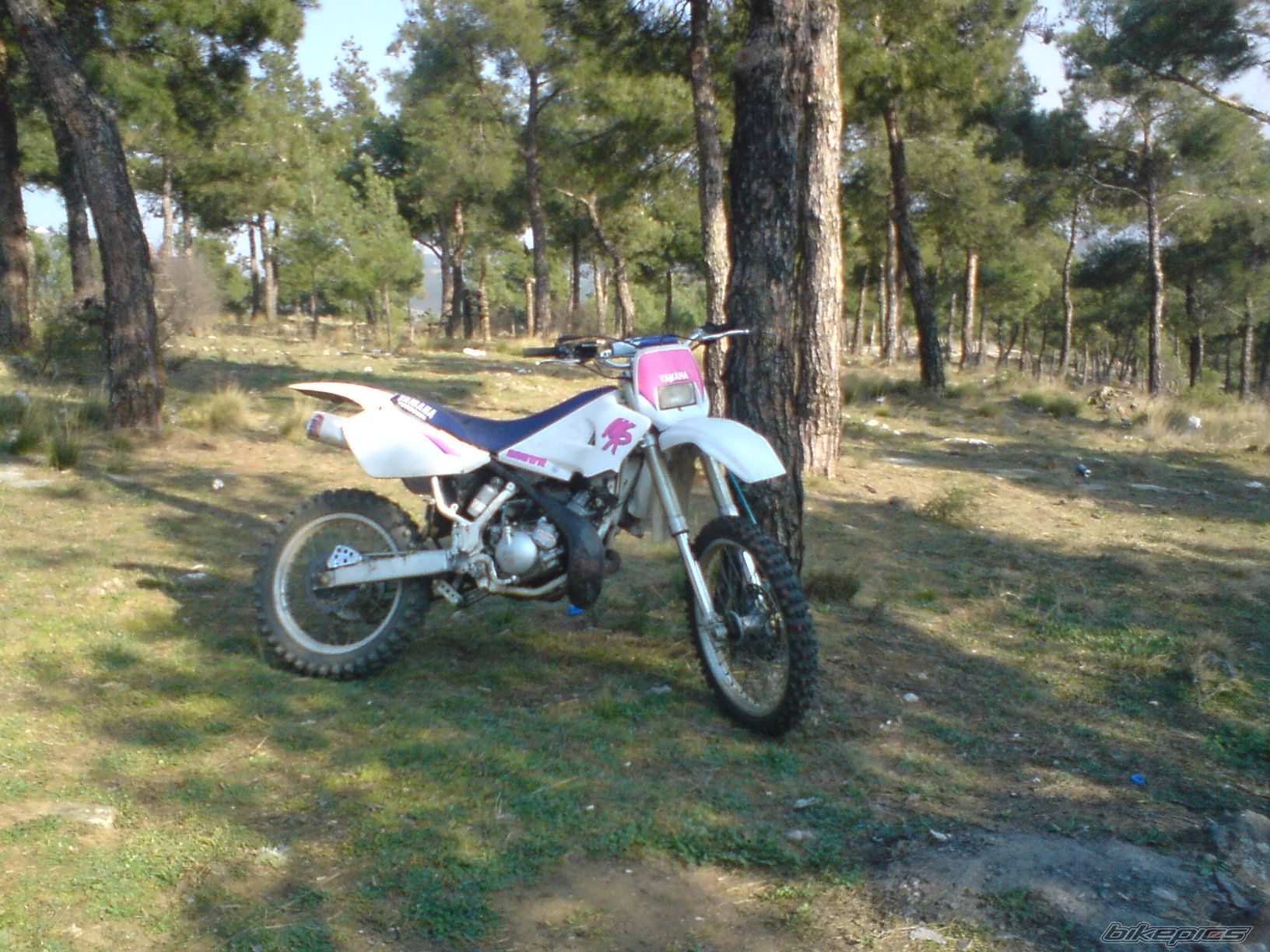 Bike Photo 1416001