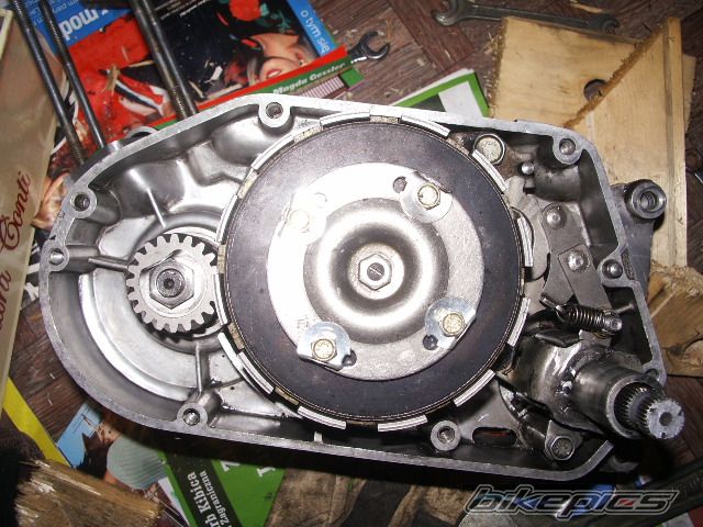 Photo 1416002