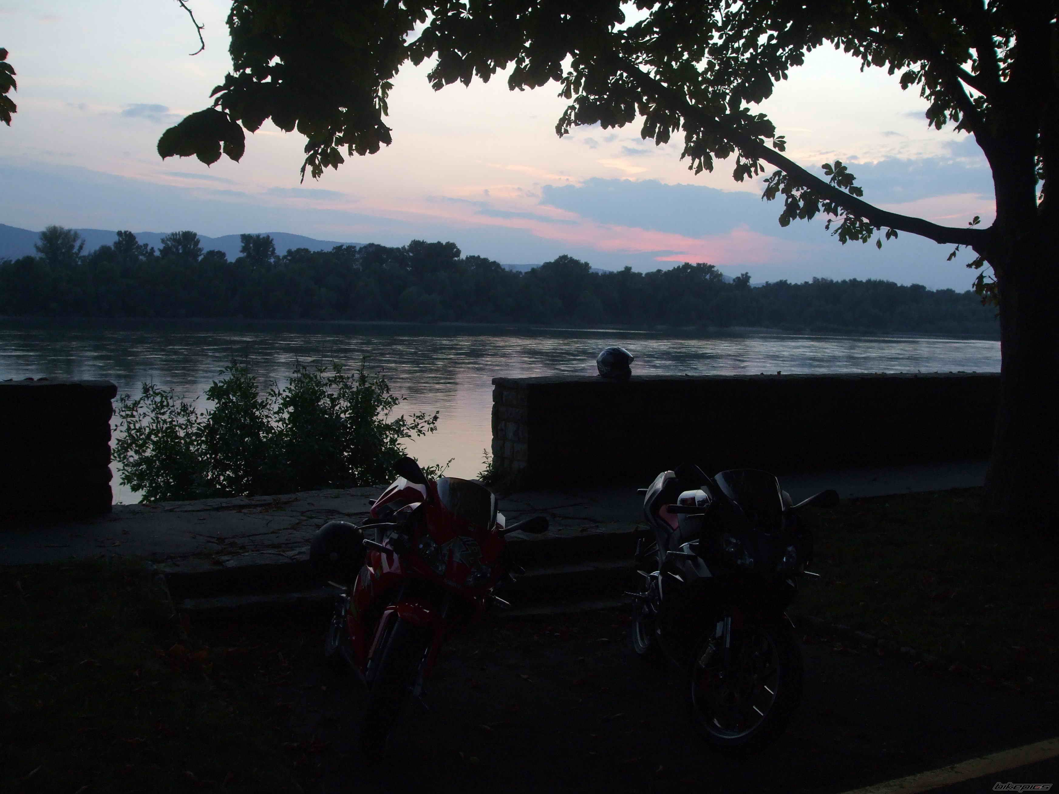Photo 1416119