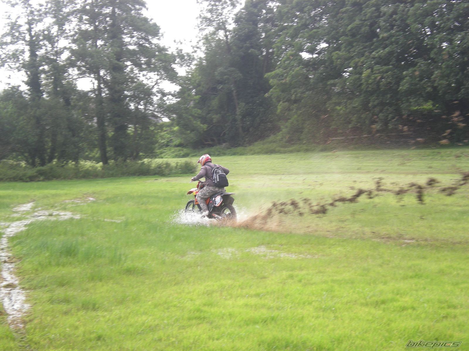 Photo 1416120