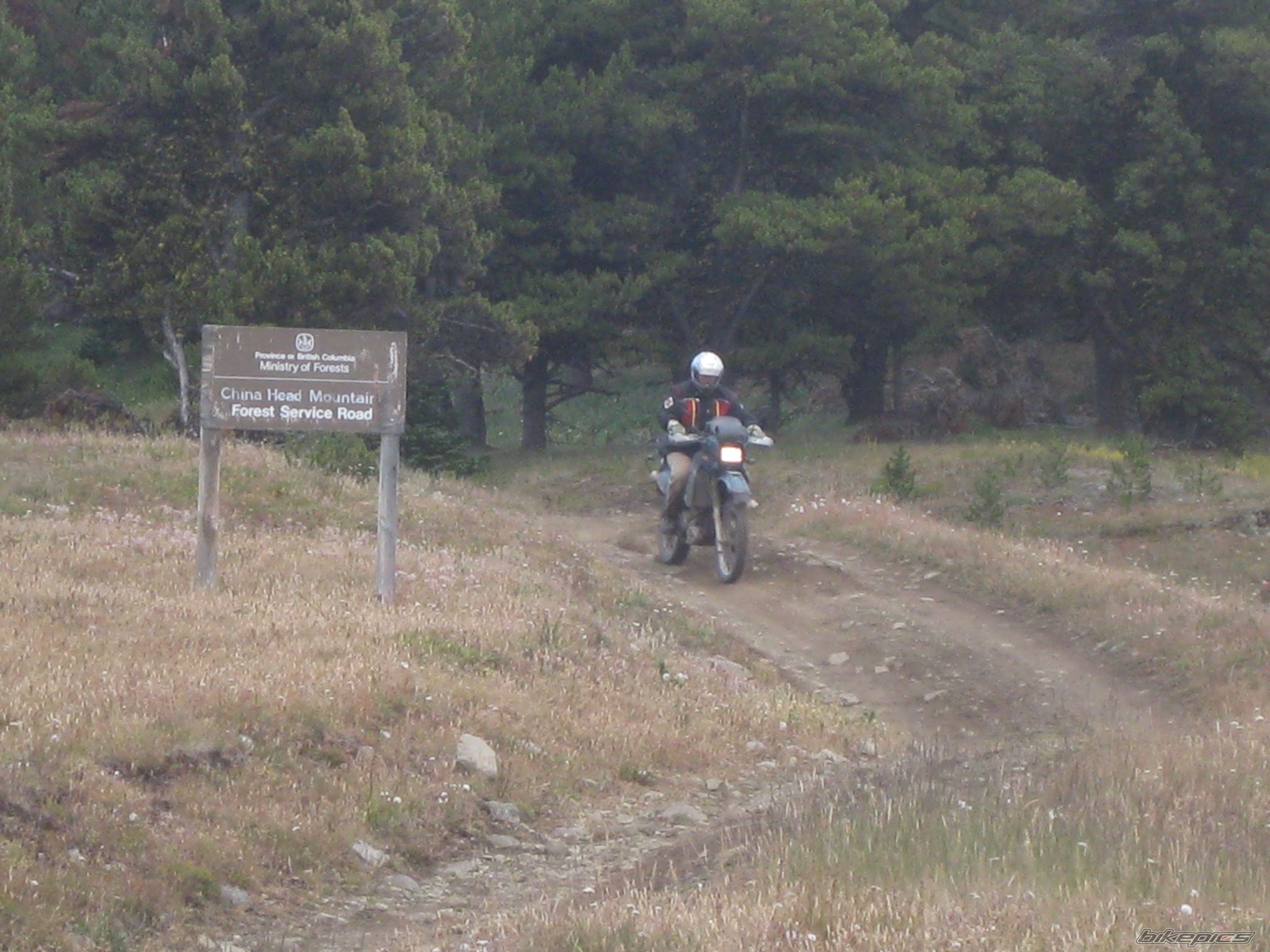 Photo 1416202
