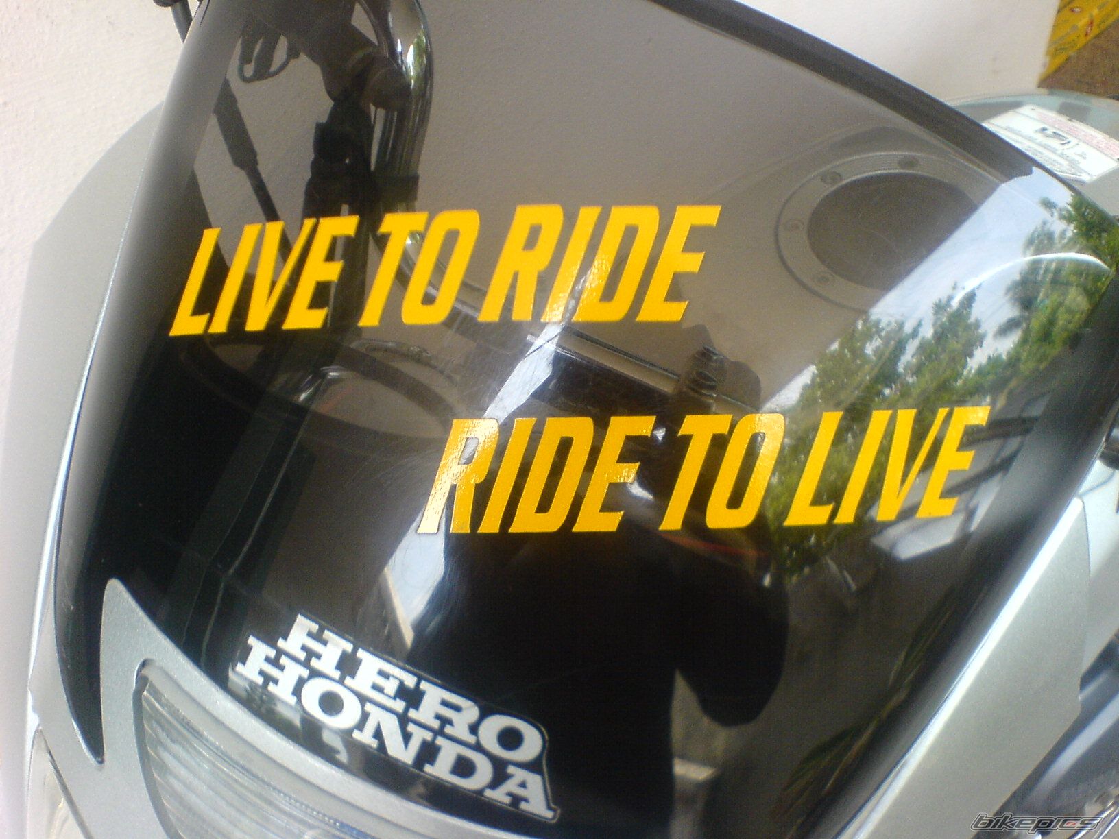 Photo 1416323