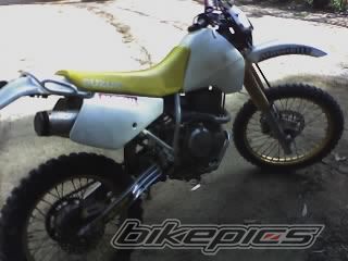 Photo 1416351