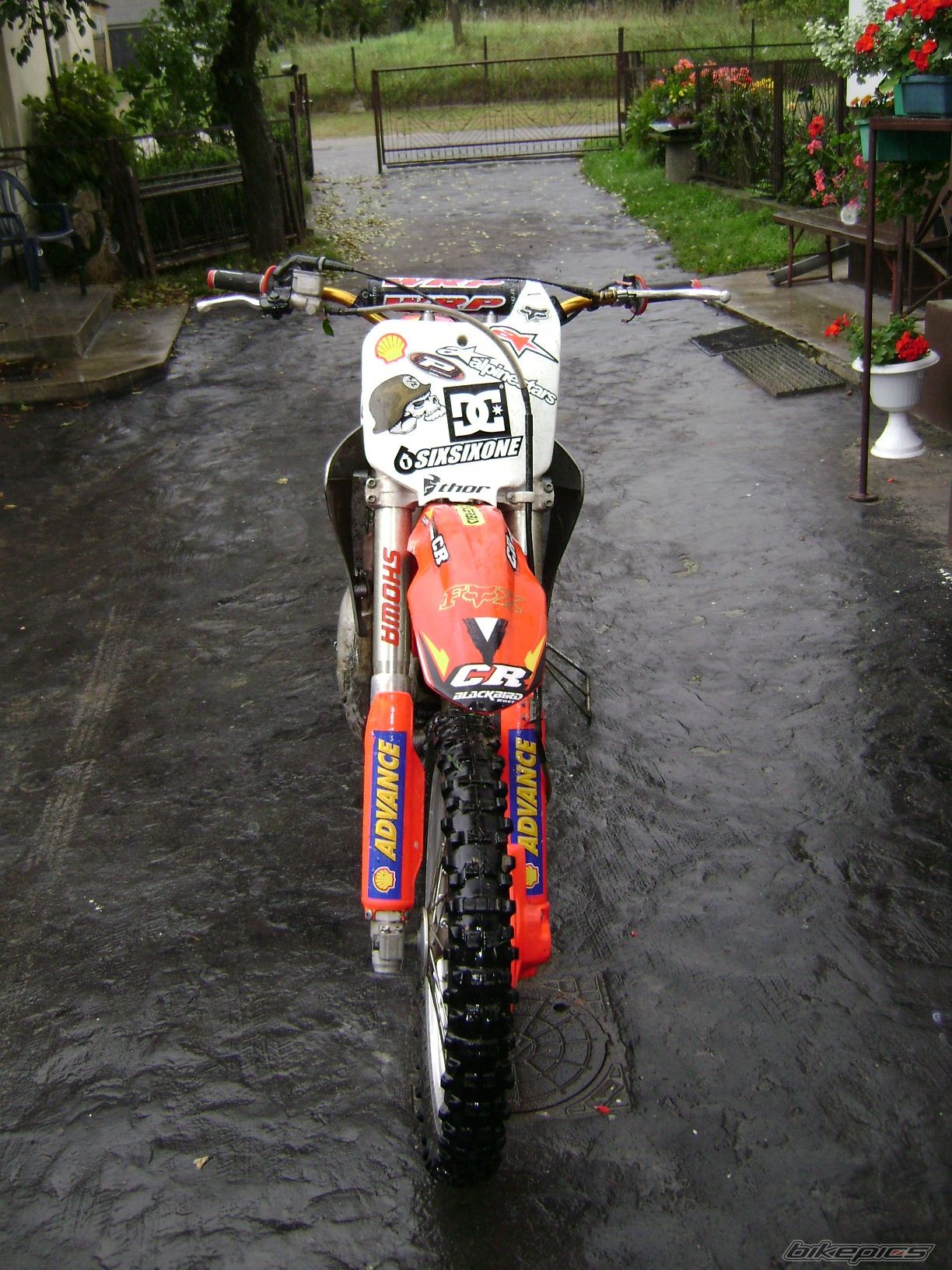 Photo 1416547